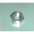 S/st Nut